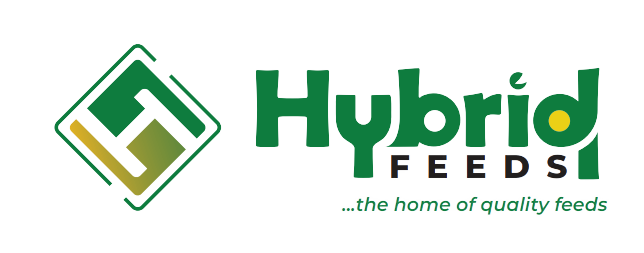 Hybrid Feeds